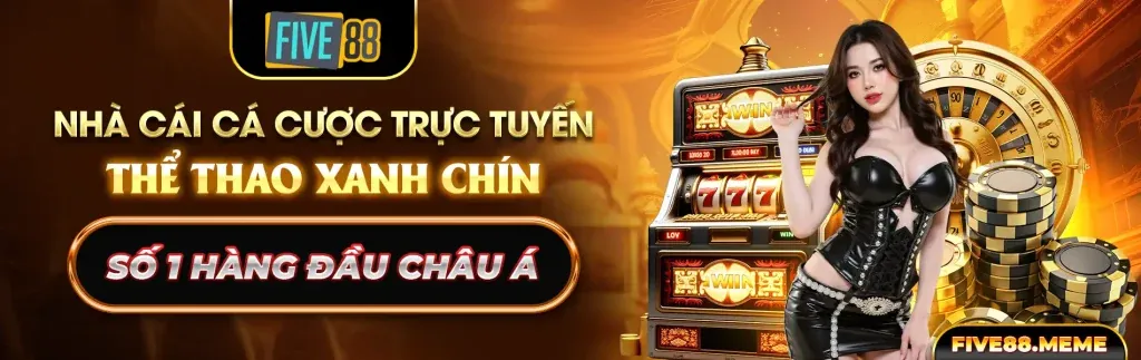 Cá cược trực tiếp trên ứng dụng kibet app