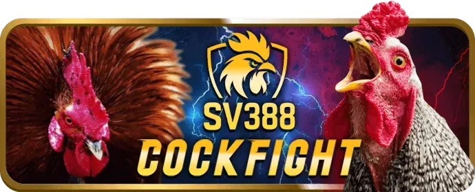Thưởng VIP và sinh nhật kibet app